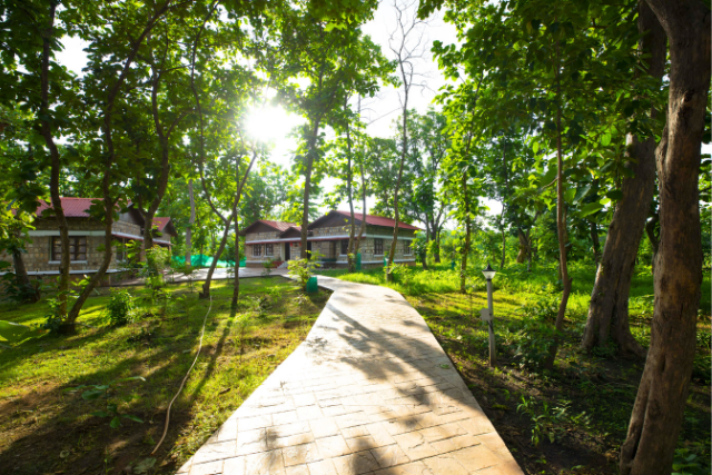 Image of Tadoba